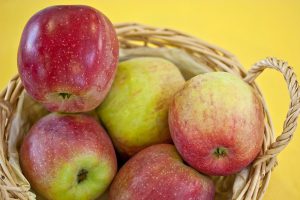 Pomme Malus Florina Querina