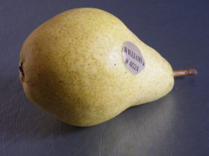 Poire Williams