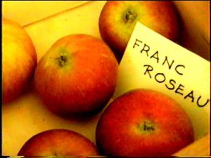 pomme franc roseau