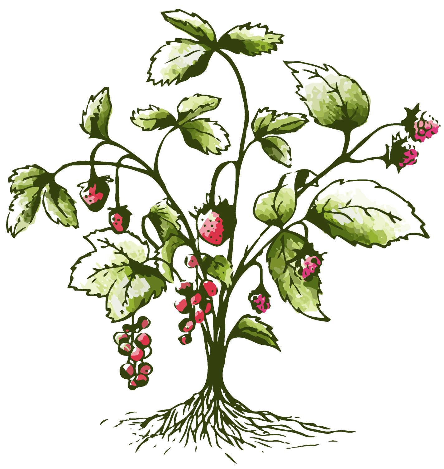 pepiniere-lehoux-logo