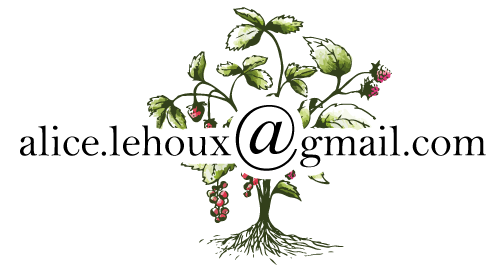 email-alice-lehoux