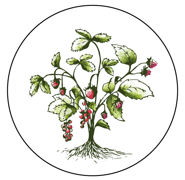 logo-pepiniere-lehoux-domancy
