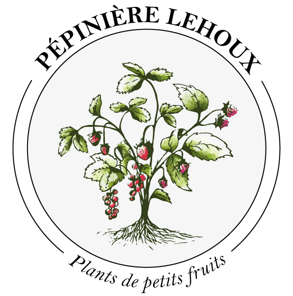 pepinieres arbre fruitier passy
